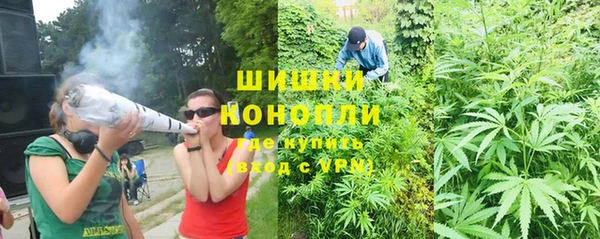 молекула духа Козловка