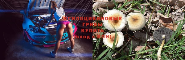spice Кинешма