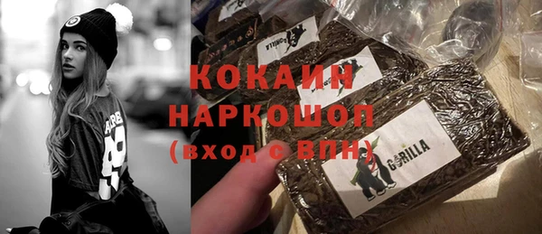 молекула духа Козловка