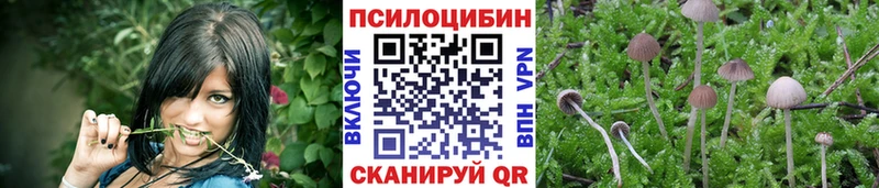 Псилоцибиновые грибы Magic Shrooms  Купить где  Белоозёрский 